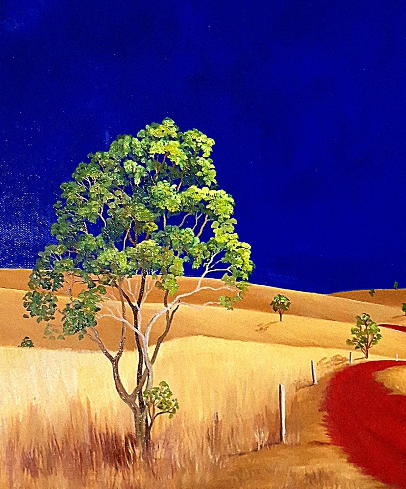 Australian Landscapes in Art: Capturing the Beauty of the Outback