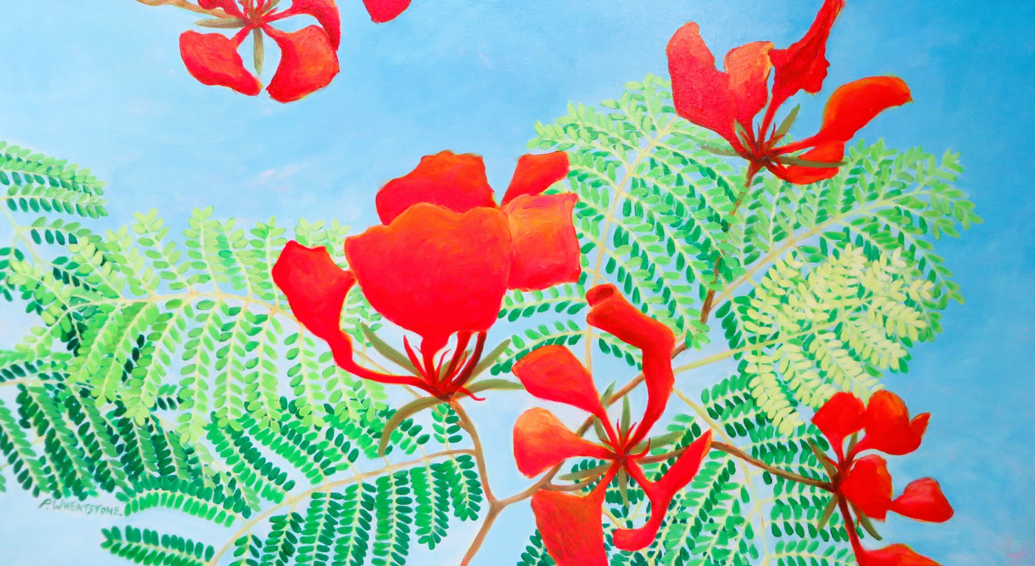 Red Poinciana flowers and their leaves against a clear blue sky, painting by Patricia Wheatstone